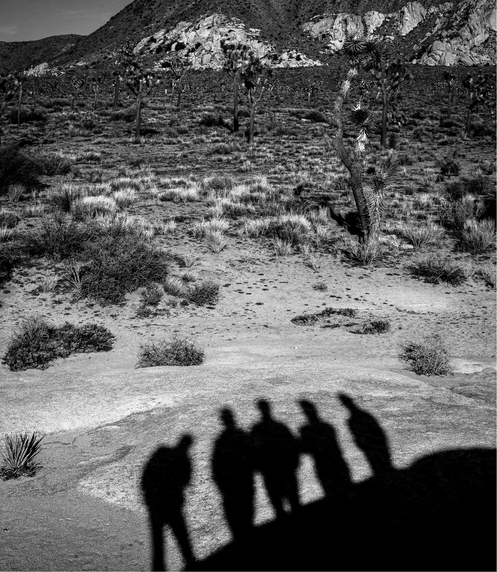 A shadow of a group of five people in the foreground of a desert